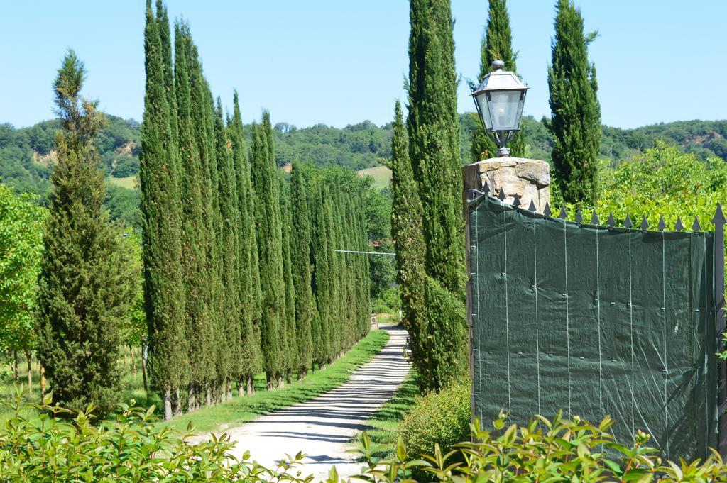 Villa Il Cedro Reggello Kültér fotó