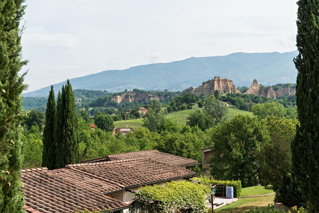 Villa Il Cedro Reggello Kültér fotó